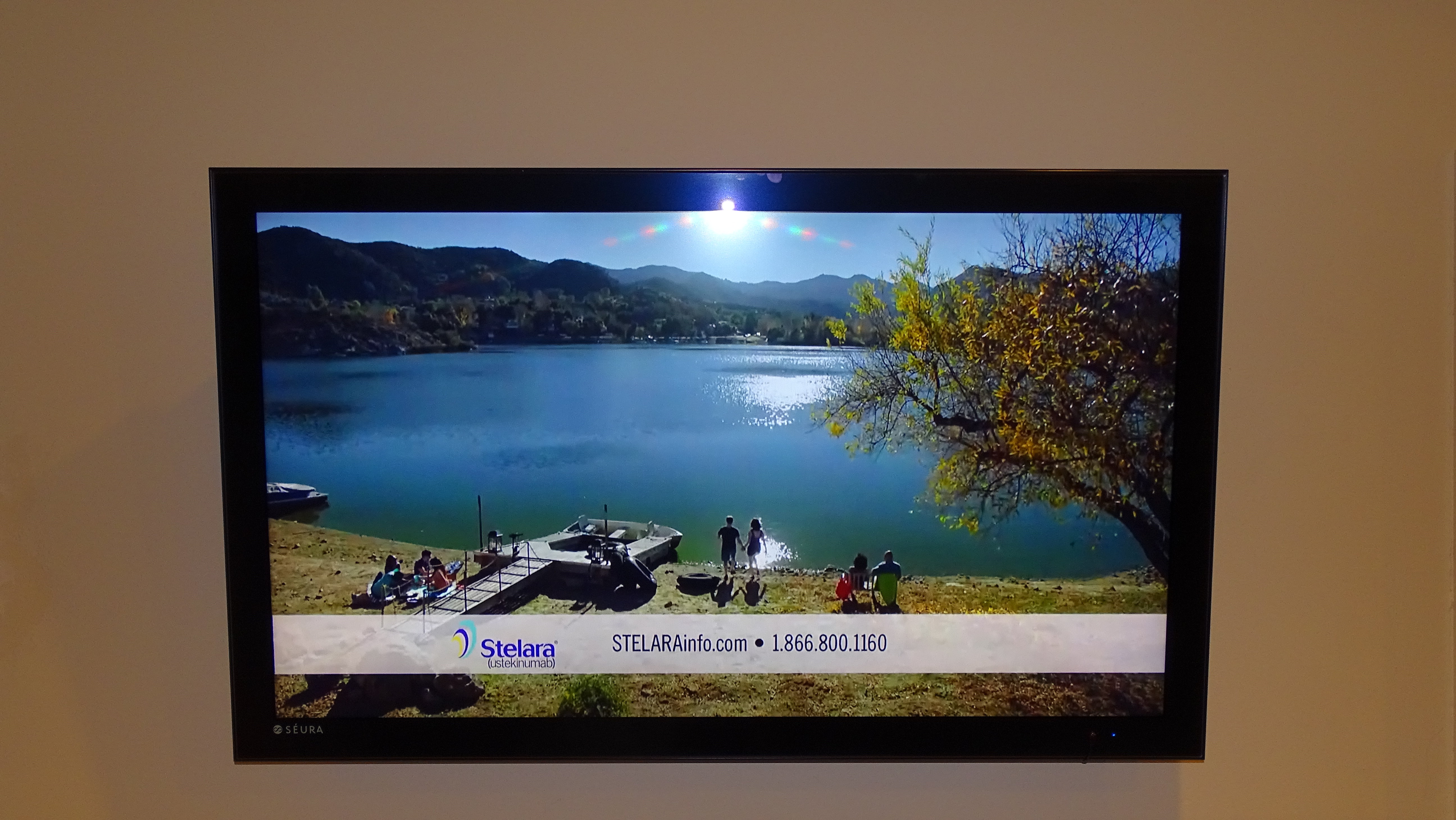 Sonance Outdoor Speaker System and Seura Waterproof TV